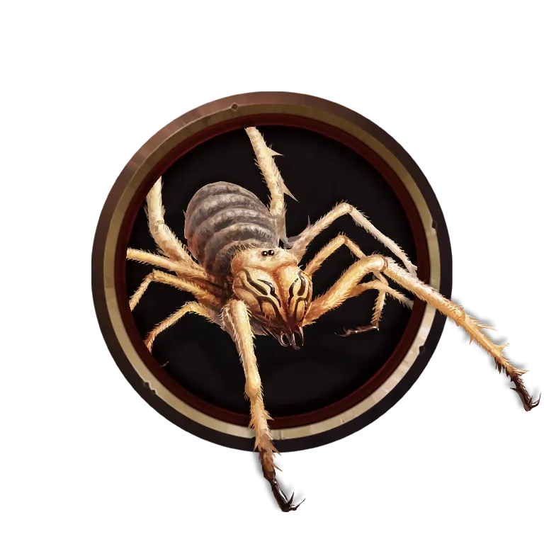 Giant Solifugid