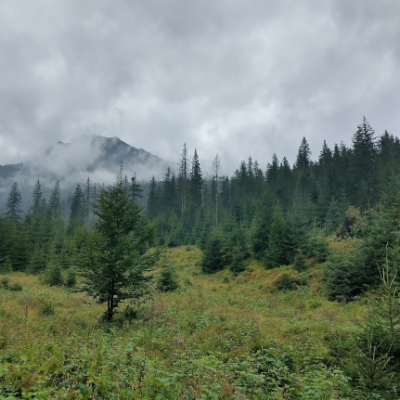 the stolen lands