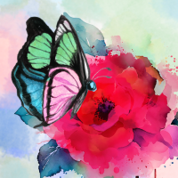 n_butterfly