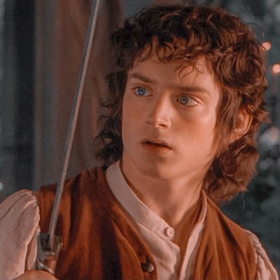 frodo 04
