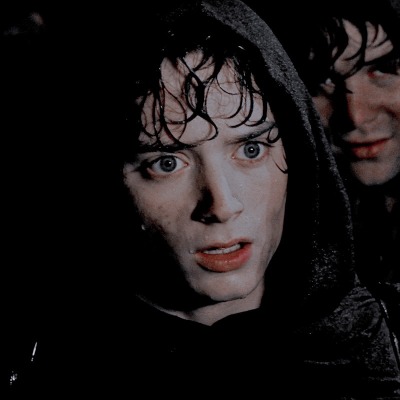 frodo 06