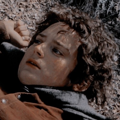 frodo 07