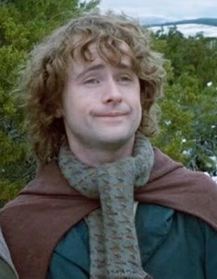 pippin 03
