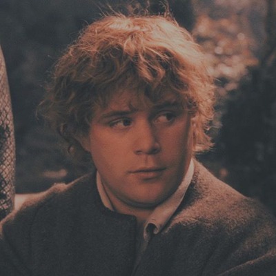 sam 01