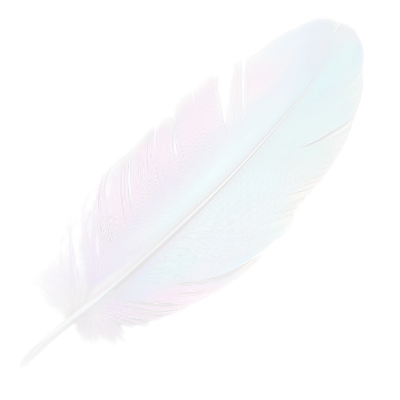 Feather