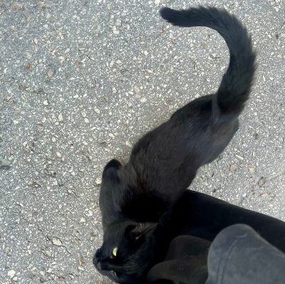 rub