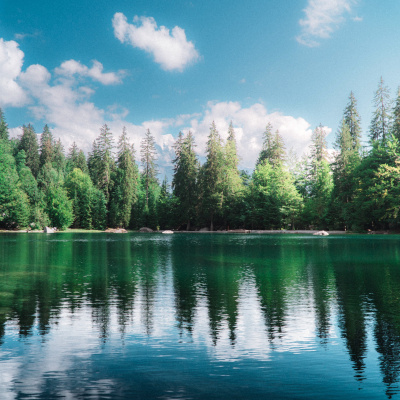 water: lake forest