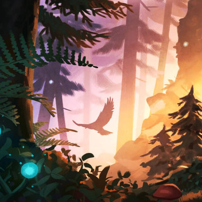 woods