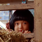 hiding-pleased7