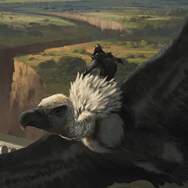 vulture_rider