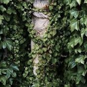 overgrown statue