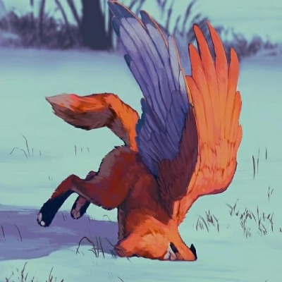 R4C4 (1)