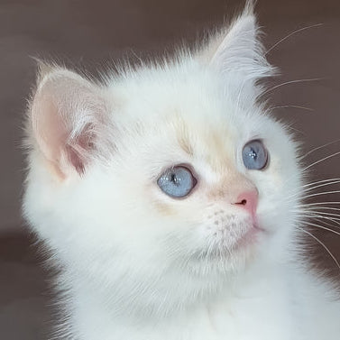 ethereal