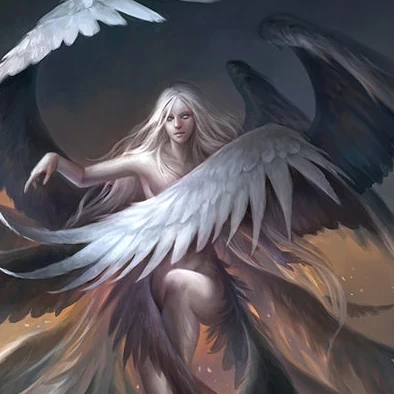 The Simurgh 3