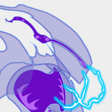 Avatar of Energy - Haeos