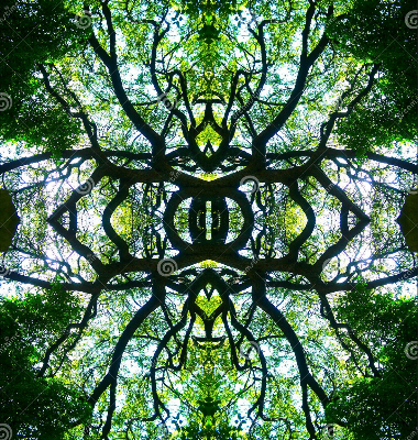 kaleidoscope-tree