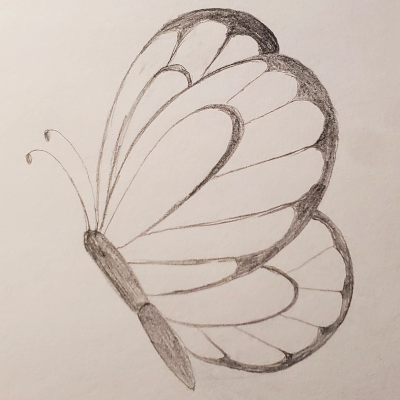 butterfly