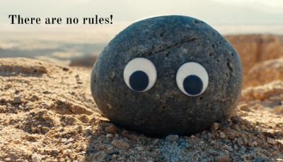 eeaao pet rock