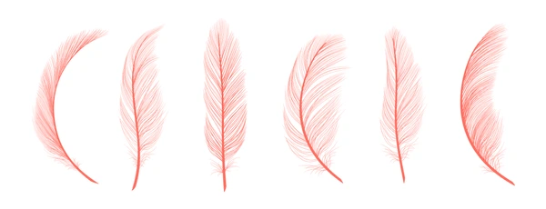 curved red feathers