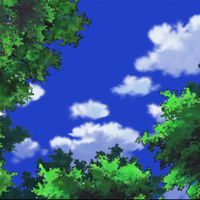 day sky through trees