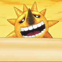 desert sun