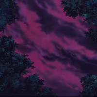 night sky through trees