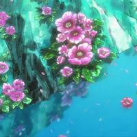 pond flowers