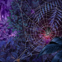 spiderweb