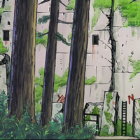 wall in the woods