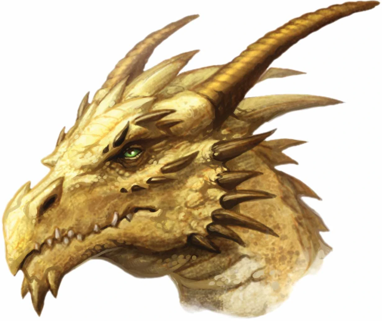 Gold_dragon_head