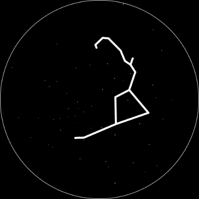 the-musician