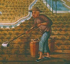 24887_orig-1528958606