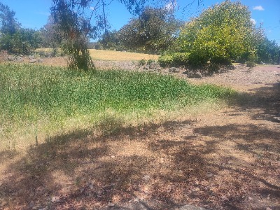 IMG20260117132540