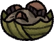 followermeat